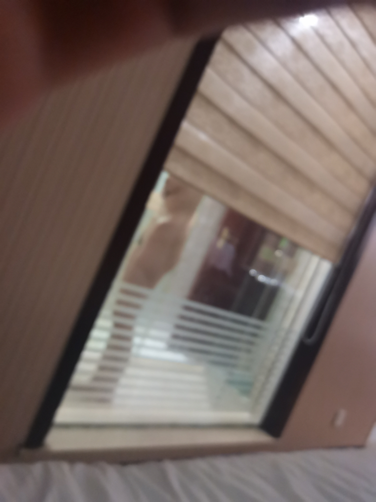 IMG_20240821_002914.jpg IMG_20240821_002914.jpg